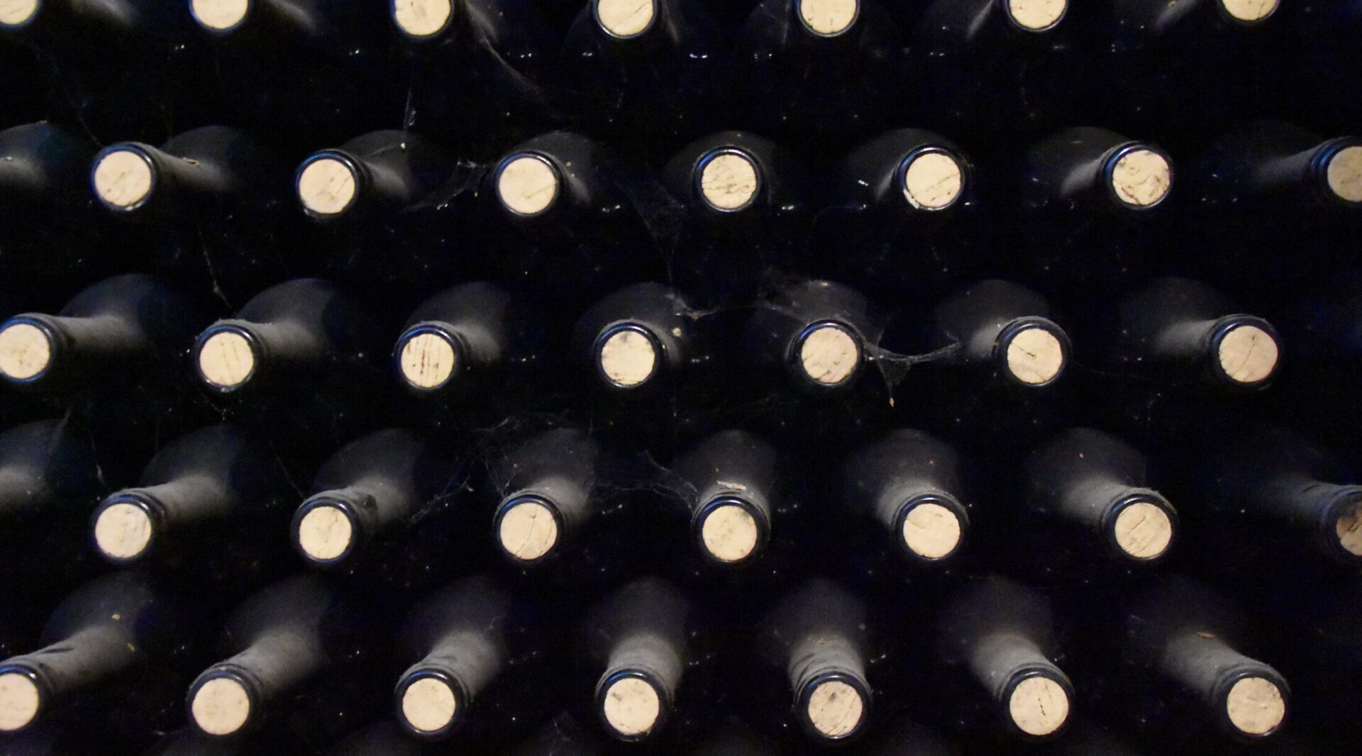 Wine Bottles